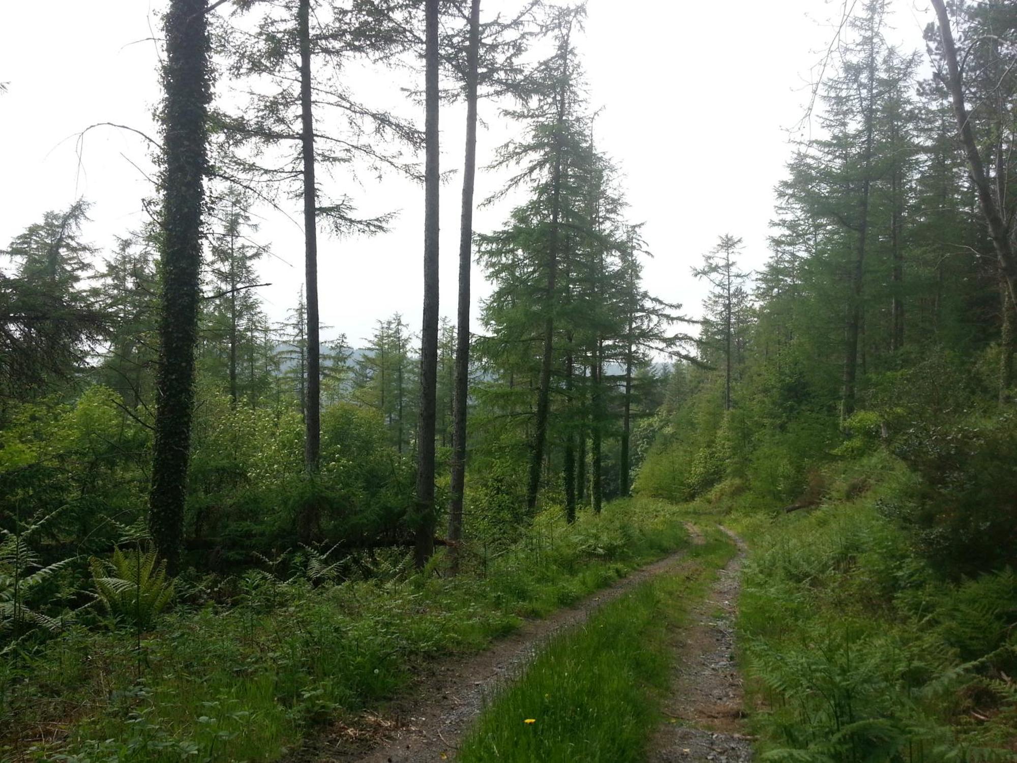 Ty Capel Isa Villa Blaenau Ffestiniog Exteriör bild